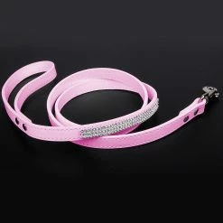Yskaze Dog Leash - Laisse Pour Chien Pour Chiens / Chats De Taille Moyenne S’entraînant à Marcher Et à Courir -nourriture pour chien boutique 360453011 max