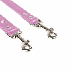 Yskaze Dog Leash - Laisse Pour Chien Pour Chiens / Chats De Taille Moyenne S’entraînant à Marcher Et à Courir -nourriture pour chien boutique 360453125 max