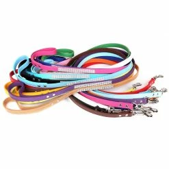 Yskaze Dog Leash - Laisse Pour Chien Pour Chiens / Chats De Taille Moyenne S’entraînant à Marcher Et à Courir -nourriture pour chien boutique 360453269 max