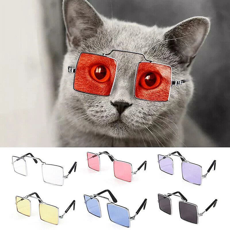 Unbranded Uk Dog Cat Pet Lunettes Pour Animaux De Compagnie Petit Chien Lunettes De Vue Chiot Lunettes De Soleil Photos Accessoires 3 Unbranded Uk Dog Cat Pet Lunettes Pour Animaux De Compagnie Petit Chien Lunettes De Vue Chiot Lunettes De Soleil Photos Accessoires – Image 3