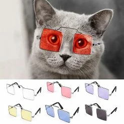 Unbranded Uk Dog Cat Pet Lunettes Pour Animaux De Compagnie Petit Chien Lunettes De Vue Chiot Lunettes De Soleil Photos Accessoires 8 Unbranded Uk Dog Cat Pet Lunettes Pour Animaux De Compagnie Petit Chien Lunettes De Vue Chiot Lunettes De Soleil Photos Accessoires -nourriture pour chien boutique 370365623 max
