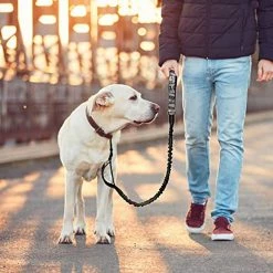 Ksalfye Dog Leash Traffic Rembourré Deux Poignées D’impression, Laisses Réfléchissantes Pour La Formation à La Sécurité De Contrôle 7 Ksalfye Dog Leash Traffic Rembourré Deux Poignées D’impression, Laisses Réfléchissantes Pour La Formation à La Sécurité De Contrôle -nourriture pour chien boutique 373974286 max