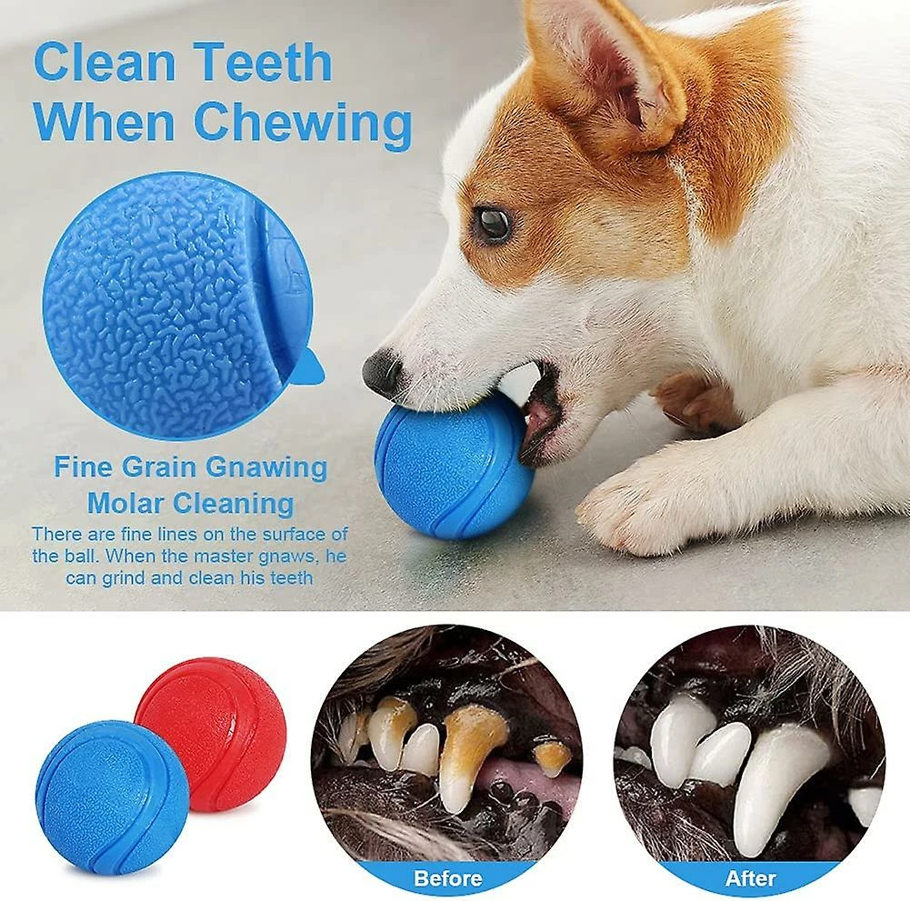 Ksalfye Jouet Pour Chien, Bouncing Ball Dog, Jouet Interactif Pour Chien, Boule De Chien Indestructible, Jouet Nettoyant Pour Dents De Chien En Caoutchouc Naturel, Pour Chiots 2 Ksalfye Jouet Pour Chien, Bouncing Ball Dog, Jouet Interactif Pour Chien, Boule De Chien Indestructible, Jouet Nettoyant Pour Dents De Chien En Caoutchouc Naturel, Pour Chiots – Image 2