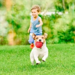 Ksalfye Jouet Pour Chien, Bouncing Ball Dog, Jouet Interactif Pour Chien, Boule De Chien Indestructible, Jouet Nettoyant Pour Dents De Chien En Caoutchouc Naturel, Pour Chiots 8 Ksalfye Jouet Pour Chien, Bouncing Ball Dog, Jouet Interactif Pour Chien, Boule De Chien Indestructible, Jouet Nettoyant Pour Dents De Chien En Caoutchouc Naturel, Pour Chiots -nourriture pour chien boutique 375149132 max