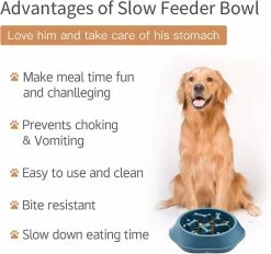Ersam Dog Bowl Dog Slow Feeder Bowls Bloat Stop Food Bowl Puzzle Interactif Healthy Eating Bowl -nourriture pour chien boutique 377729733 max