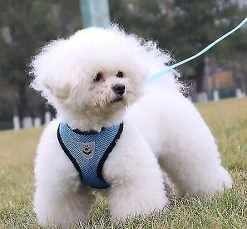 Unbranded Dog Car Vest Harness Seatbelt Set, Dog Car Adjustable Pet Harness With Safety Seat Belt, Double Respirable Mesh Fabric Harness For Small Medium Large -nourriture pour chien boutique 388794101 max