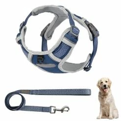 Unbranded Dog Chest Harness Traction Corde Gilet Respirant Pour Animaux De Compagnie -nourriture pour chien boutique 389270017 max