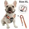 Unbranded Dog Chest Harness Traction Corde Gilet Respirant Pour Animaux De Compagnie