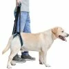 Rtopr Pet Dog Auxiliary Belt Harness Assist Lift Support Rehabilitation Belt Pour Chien Malade âgé