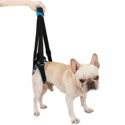 Rtopr Pet Dog Auxiliary Belt Harness Assist Lift Support Rehabilitation Belt Pour Chien Malade âgé -nourriture pour chien boutique 394635350 max