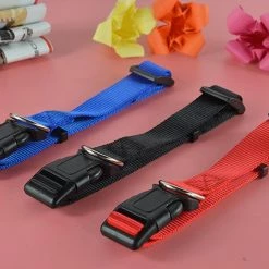 Giveuphesit Pet Soft Réglable Solid Color Nylon Puppy / Dog Collier Pour Correspondre à La Laisse Et Au Harnais -nourriture pour chien boutique 402072019 max