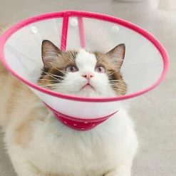 Ksalfye Cat Cone Dog Cone Collier Soft Dotted Recovery Collar After Surgery For Cats Kitten Puppy Small Dogs Pets Animalspet Supplies Housse De Protection Protecti -nourriture pour chien boutique 402910351 max