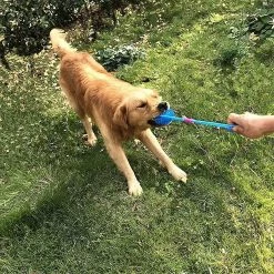 Ksalfye 3/6 Pcs Pet Squeaky Chewing Balls, Dog Soft Stab Balls Nettoyage Des Dents Toys Balls, Pour Petit Moyen Grand Chien Chien Cat Toys, Bleu / Orange / Vert 9 Ksalfye 3/6 Pcs Pet Squeaky Chewing Balls, Dog Soft Stab Balls Nettoyage Des Dents Toys Balls, Pour Petit Moyen Grand Chien Chien Cat Toys, Bleu / Orange / Vert -nourriture pour chien boutique 405367596 max