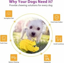 Unbranded Squeak Toy Chew Dog Pig Brosse à Dents Interactive Pour Animal De Taille Moyenne (jaune 8 Unbranded Squeak Toy Chew Dog Pig Brosse à Dents Interactive Pour Animal De Taille Moyenne (jaune -nourriture pour chien boutique 416932541 max