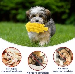 Unbranded Squeak Toy Chew Dog Pig Brosse à Dents Interactive Pour Animal De Taille Moyenne (jaune 9 Unbranded Squeak Toy Chew Dog Pig Brosse à Dents Interactive Pour Animal De Taille Moyenne (jaune -nourriture pour chien boutique 416932552 max