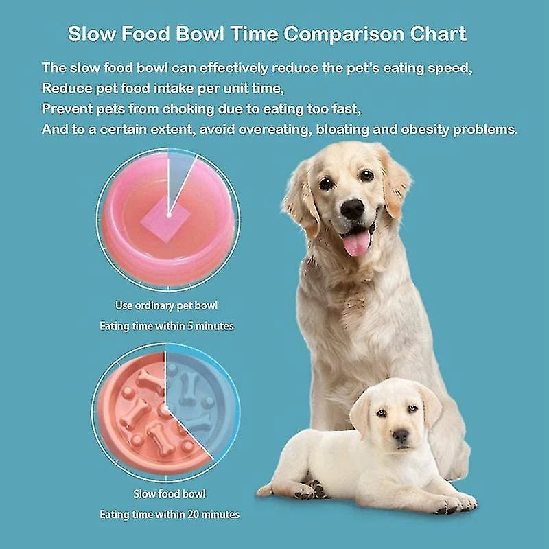 Unbranded Slow Feeder Dog Bowl Anti-irrigation Alimentation Saine Interactif - C 2 Unbranded Slow Feeder Dog Bowl Anti-irrigation Alimentation Saine Interactif - C – Image 2