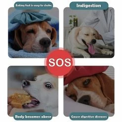 Unbranded Slow Feeder Dog Bowl Anti-irrigation Alimentation Saine Interactif - C 9 Unbranded Slow Feeder Dog Bowl Anti-irrigation Alimentation Saine Interactif - C -nourriture pour chien boutique 423490513 max