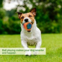 Lyded Led Dog Ball, Light Up Dog Ball Activé Par Rebond, S’allume Compatible Avec Night Play Pet Dog Ballinteractive Dog Toy Color Changing Led -nourriture pour chien boutique 424647470 max