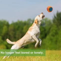 Lyded Led Dog Ball, Light Up Dog Ball Activé Par Rebond, S’allume Compatible Avec Night Play Pet Dog Ballinteractive Dog Toy Color Changing Led -nourriture pour chien boutique 424647480 max