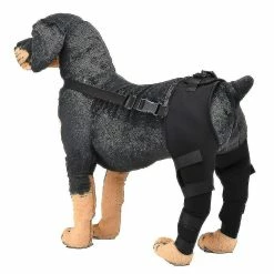 Magene Dog Elbow Brace Protector Pads Pet Dog Hind Legs Protector Réglable Dogs Knee Brace Leg Support 7 Magene Dog Elbow Brace Protector Pads Pet Dog Hind Legs Protector Réglable Dogs Knee Brace Leg Support -nourriture pour chien boutique 425235994 max