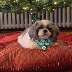 Unbranded 2 Pack Christmas Dog Plaid Bandana, Pet Dog Puppy Holiday Scarf, Adjustable Cute Dog Christmas Outfit 8 Unbranded 2 Pack Christmas Dog Plaid Bandana, Pet Dog Puppy Holiday Scarf, Adjustable Cute Dog Christmas Outfit -nourriture pour chien boutique 434364963 max