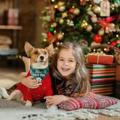 Unbranded 2 Pack Christmas Dog Plaid Bandana, Pet Dog Puppy Holiday Scarf, Adjustable Cute Dog Christmas Outfit 9 Unbranded 2 Pack Christmas Dog Plaid Bandana, Pet Dog Puppy Holiday Scarf, Adjustable Cute Dog Christmas Outfit -nourriture pour chien boutique 434365005 max