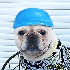 Unbranded 10cm Pet Dog Doggie Hardhat Pour Protéger La Tête -nourriture pour chien boutique 434365711 max