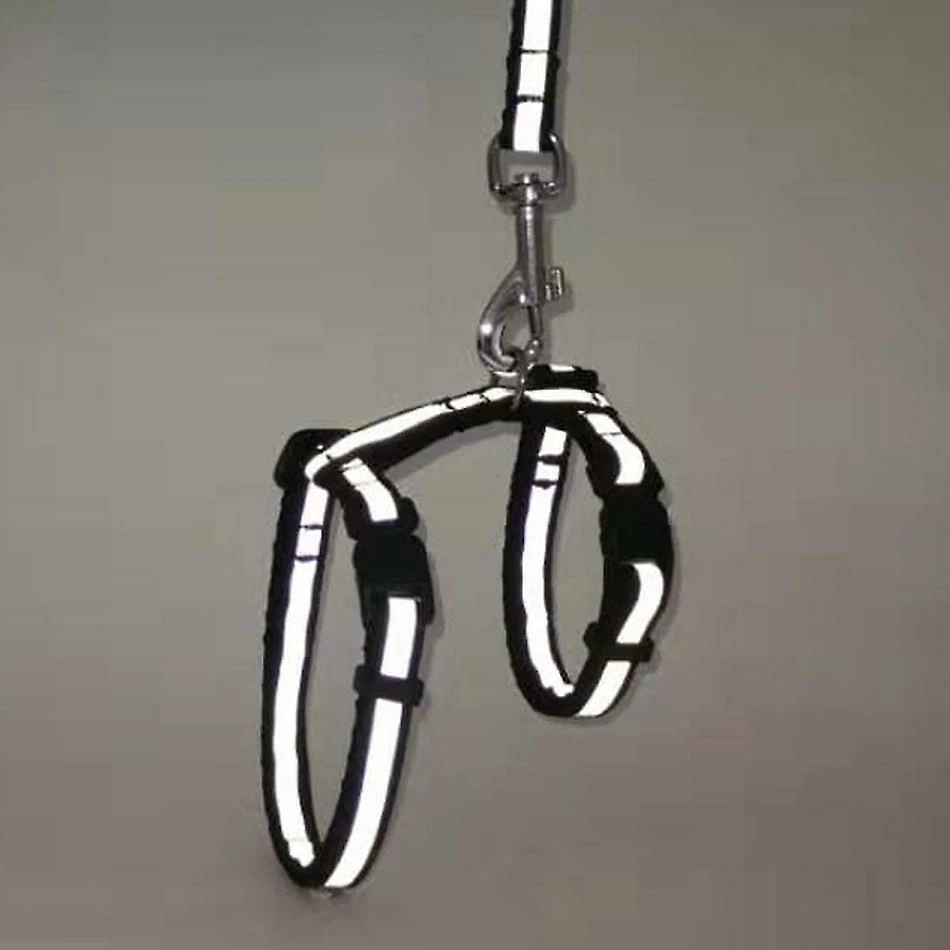 Unbranded Cat Dog Collar Harness Leash Réglable Nylon Pet Traction Cat Kitten Halter Collar Cats Products Reflective Pet Harness Belt 5 Unbranded Cat Dog Collar Harness Leash Réglable Nylon Pet Traction Cat Kitten Halter Collar Cats Products Reflective Pet Harness Belt – Image 5