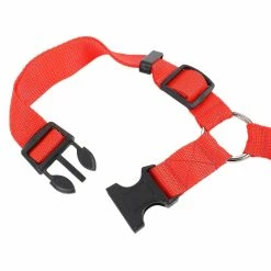 Unbranded 2 Packs Dog Cat Ceinture De Sécurité Sécurité Tissu Nylon Réglable Rouge 9 Unbranded 2 Packs Dog Cat Ceinture De Sécurité Sécurité Tissu Nylon Réglable Rouge -nourriture pour chien boutique 439722856 max