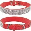 Baicccf Collier Pour Chien Collier En Strass Pour Chien, Mignon éblouissant Étincelant Doux Cuir Daim Chien Chat Collier Strass Cristal Diamant Pet Dog Puppy Collier
