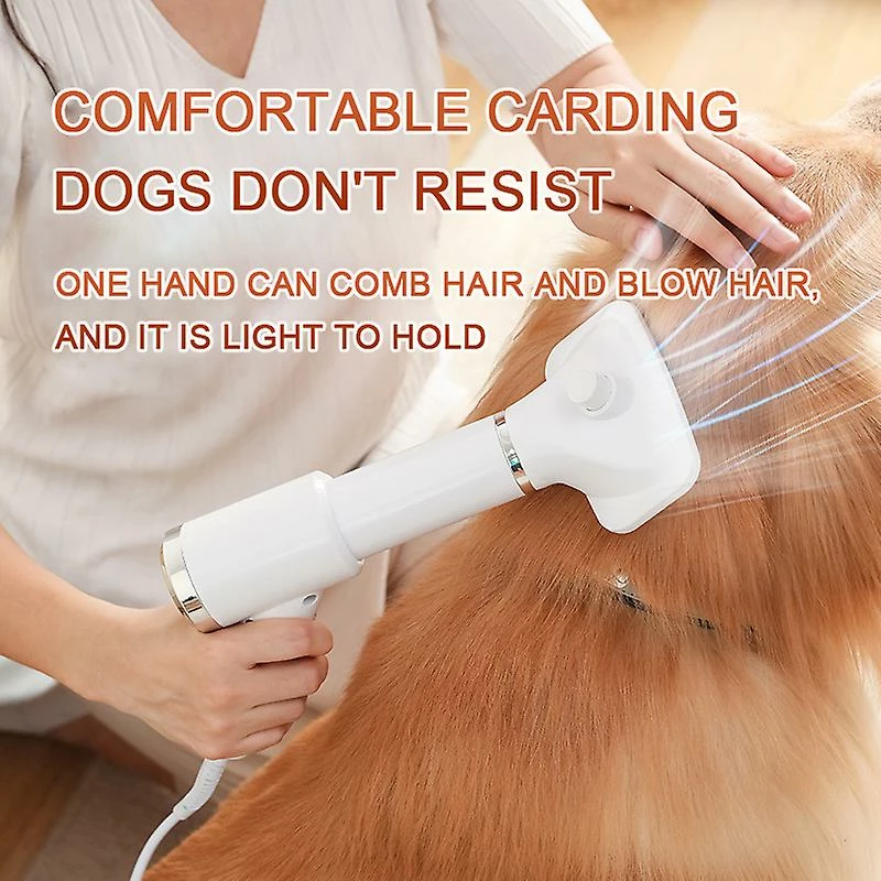 Unbranded 2-en-1 Dog Hair Dryer Vitesse Réglable Température Cat Dog Toilettage Sèche-cheveux Peigne Brosse Low Noise Pet Products 2 Unbranded 2-en-1 Dog Hair Dryer Vitesse Réglable Température Cat Dog Toilettage Sèche-cheveux Peigne Brosse Low Noise Pet Products – Image 2
