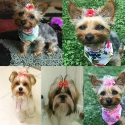 Wonderful Fong 50pcs / Pack Dog Hair Bows Paires Strass Perles Fleurs Topknot Mix Styles Dog Bows Pet -nourriture pour chien boutique 447481111 max