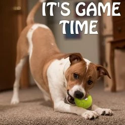 Baicccf 4.13 '' Jouets Pour Chiens Grinçants Smiley Face Dog Balls Avec Squeaker Rubber Latex Pet Toys Pour Petits Chiots De Moyenne Et Grande Race -nourriture pour chien boutique 449761399 max