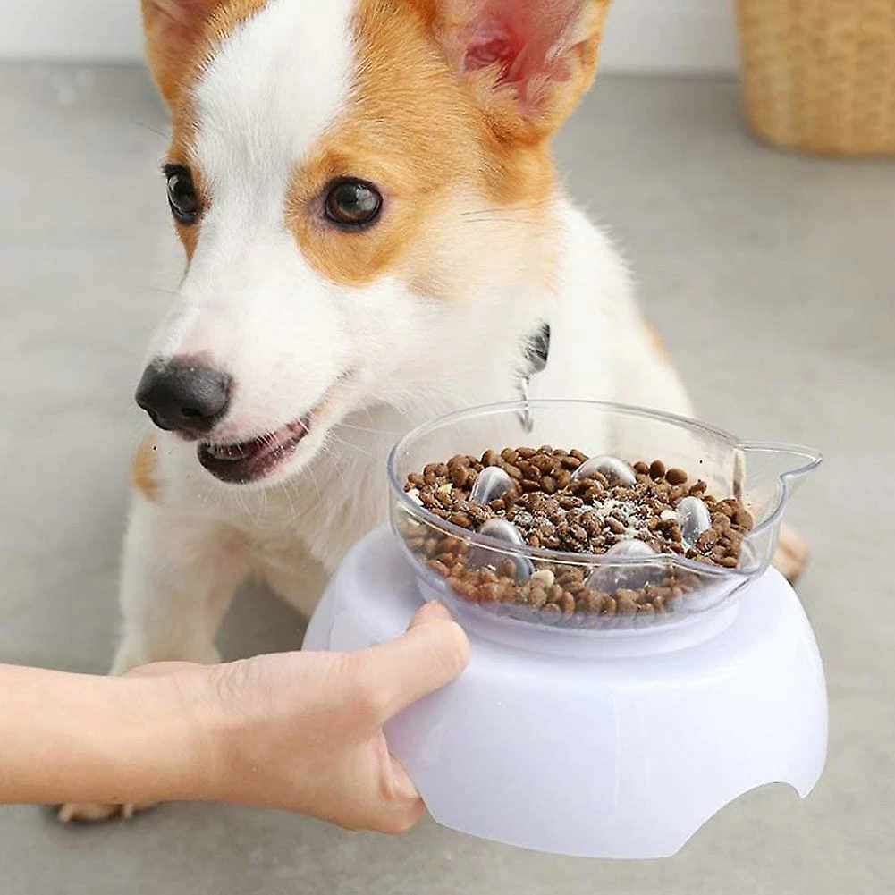 Baicccf Double Cat Dog Bowls Elevated Cat Food Water Bowls With Raised Stand 15 Tilted Raised Slow Feeder Bowl Distributeur D’eau Sans Stress Pour Les Chats Et Les Petits 5 Baicccf Double Cat Dog Bowls Elevated Cat Food Water Bowls With Raised Stand 15 Tilted Raised Slow Feeder Bowl Distributeur D’eau Sans Stress Pour Les Chats Et Les Petits – Image 5