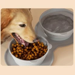 Unbranded Dog Bowl Folding Double Bowls Pour Animaux De Compagnie Voyage En Plein Air Mangeoires Portables Pliable Chat Chien Nourriture Alimentation Alimentation -nourriture pour chien boutique 451071914 max