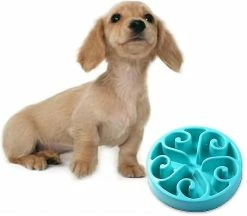 Unbranded Slow Dog Feeding Bowl Fun Feeder Anti Gluttonous Dog Feeding Bowl - Vert Foncé 5 Unbranded Slow Dog Feeding Bowl Fun Feeder Anti Gluttonous Dog Feeding Bowl - Vert Foncé -nourriture pour chien boutique 461071756 max