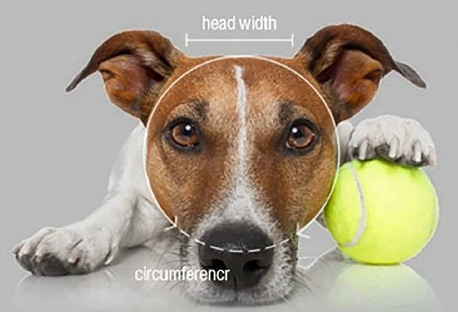 Cold Frost Round Brim Princess Hat Visière Dog Mesh Chapeau De Soleil Perforé Avec Trous D’oreille Pour Petit, Extra Petit Teddy, Shih Tzu, Yorkshire Terrier, Papillon Pink S (h 2 Cold Frost Round Brim Princess Hat Visière Dog Mesh Chapeau De Soleil Perforé Avec Trous D’oreille Pour Petit, Extra Petit Teddy, Shih Tzu, Yorkshire Terrier, Papillon Pink S (h – Image 2