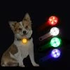 Hxetlv Led Dog Leashes Pendentif Éclairage Réglable Collier Usb Rechargeable Lumineux Pet Safe Soft