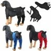 Annual Rings Dog Elbow Brace Protector Pads Pet Dog Hind Legs Protector Réglable Dogs Knee Brace Leg Support