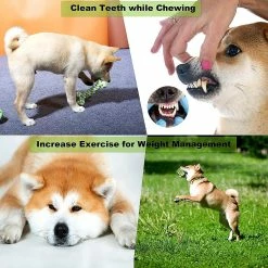 Wonderful 6 Pcs Dog Toy Set Peluche Jouets Animaux De Compagnie, Coton Naturel Non Toxique Inodore Durable Tee -nourriture pour chien boutique 482290915 max