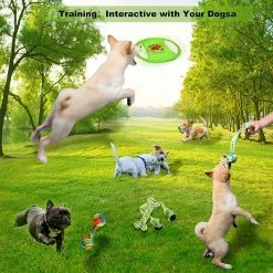 Wonderful 6 Pcs Dog Toy Set Peluche Jouets Animaux De Compagnie, Coton Naturel Non Toxique Inodore Durable Tee -nourriture pour chien boutique 482290920 max