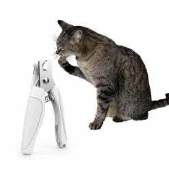 Redmiter Pet Dog Cat Nail Toe Claw Clippers Ciseaux Tondeuse Ă Cisaillement Outil De Toilettage-cl.