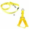 1mor Led Dog Collier Laisse Pour Chien Harnais Chien-Collier Leash Set Électronique Nylon Chien Laisse Corde Lumière Pet Harnais Chat Plomb Pet Produit