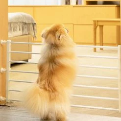 Unbranded Porte De Protection Pour Animaux De Compagnie Anti-blocage Cat And Dog Gate Clôture Intérieure 8 Unbranded Porte De Protection Pour Animaux De Compagnie Anti-blocage Cat And Dog Gate Clôture Intérieure -nourriture pour chien boutique 493949630 max