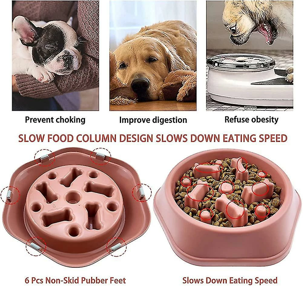 Vention Dog Bowl Slow Feeder Dog Bowls Petit Chien Slow Feeding Dogs Bowl Slow Eating Dog Slow 3 Vention Dog Bowl Slow Feeder Dog Bowls Petit Chien Slow Feeding Dogs Bowl Slow Eating Dog Slow – Image 3