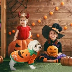 Unbranded Dog Costume Halloween Pumpkin Dog Costume Large Dog Costume For Halloween Pet Cat Dog Clothes 6 Unbranded Dog Costume Halloween Pumpkin Dog Costume Large Dog Costume For Halloween Pet Cat Dog Clothes -nourriture pour chien boutique 494817294 max