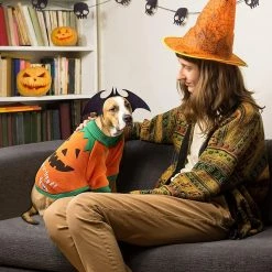 Unbranded Dog Costume Halloween Pumpkin Dog Costume Large Dog Costume For Halloween Pet Cat Dog Clothes 7 Unbranded Dog Costume Halloween Pumpkin Dog Costume Large Dog Costume For Halloween Pet Cat Dog Clothes -nourriture pour chien boutique 494817349 max