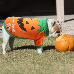 Unbranded Dog Costume Halloween Pumpkin Dog Costume Large Dog Costume For Halloween Pet Cat Dog Clothes 8 Unbranded Dog Costume Halloween Pumpkin Dog Costume Large Dog Costume For Halloween Pet Cat Dog Clothes -nourriture pour chien boutique 494817395 max