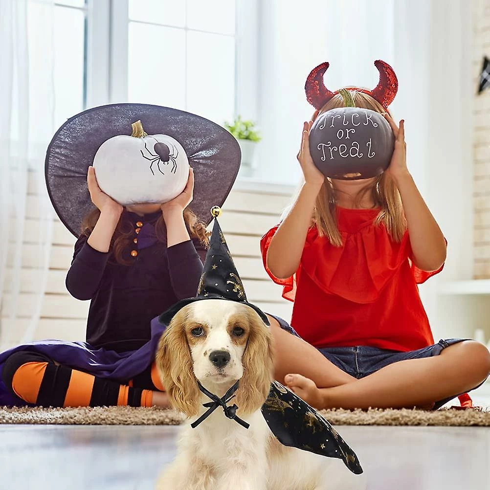 Unbranded Pet Halloween Outfits, Dog Halloween Costumes With Adjustable Witch Hat Halloween Pet Clothes Dog Cat For Small Medium Dogs Cats Halloween Party 4 Unbranded Pet Halloween Outfits, Dog Halloween Costumes With Adjustable Witch Hat Halloween Pet Clothes Dog Cat For Small Medium Dogs Cats Halloween Party – Image 4