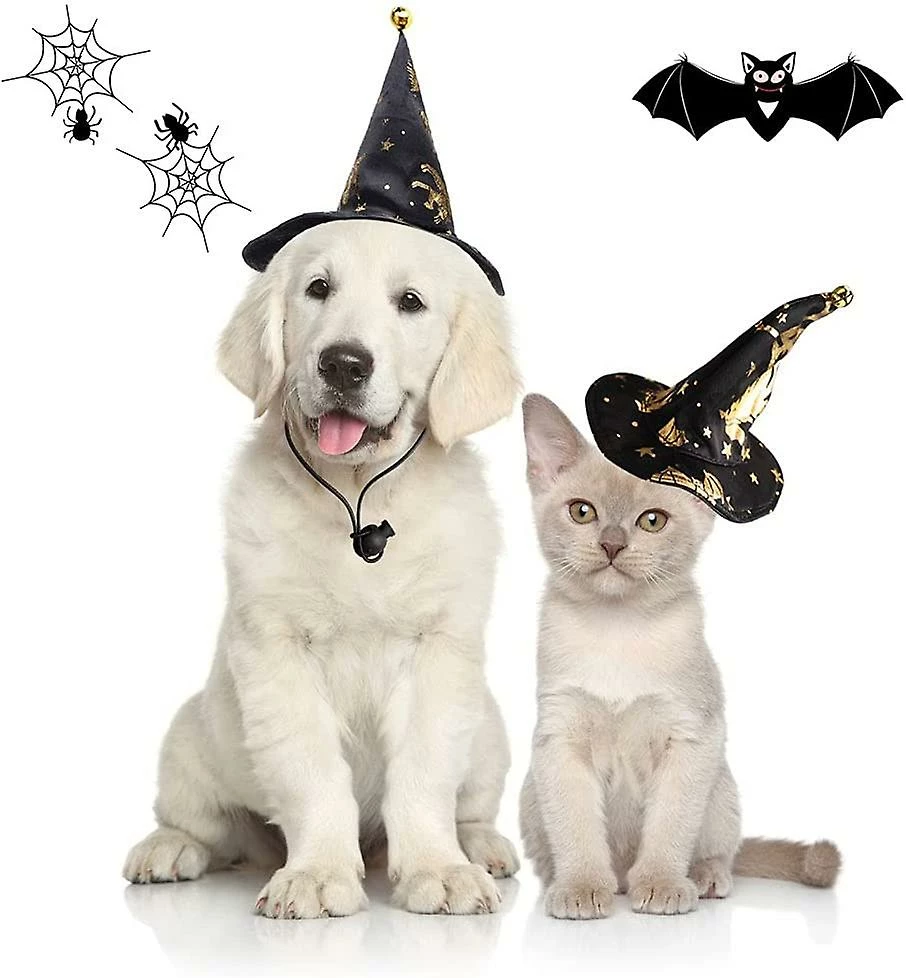 Unbranded Pet Halloween Outfits, Dog Halloween Costumes With Adjustable Witch Hat Halloween Pet Clothes Dog Cat For Small Medium Dogs Cats Halloween Party 5 Unbranded Pet Halloween Outfits, Dog Halloween Costumes With Adjustable Witch Hat Halloween Pet Clothes Dog Cat For Small Medium Dogs Cats Halloween Party – Image 5